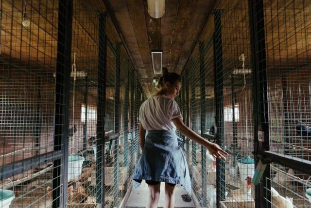 Estimer une propriété agricole en Bourgogne : méthode et références