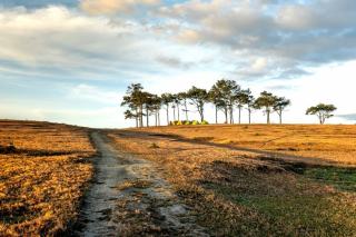 Expertise camping terrain de loisir en Bourgogne : évaluation