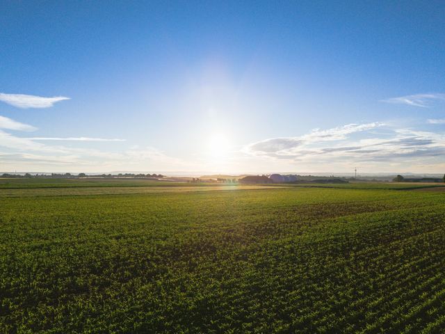 Terres agricoles louées en bail rural Parcelles de grande culture et bâtiment agricole en Bourgogne