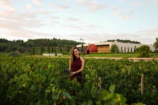 Estimation domaine viticole en Bourgogne, méthode et critères