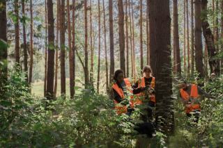 Expertise forêt bois en Bourgogne : évaluation et fiscalité