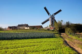 Expertise moulin ancien en Bourgogne : évaluation patrimoniale
