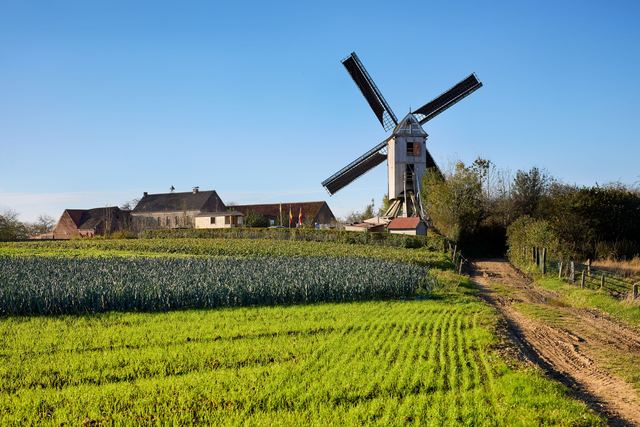 Moulin ancien en Bourgogne : ce que l'expert regarde avant la vente Moulin ancien en Bourgogne : ce que l'expert regarde avant la vente