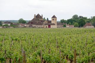 Patrimoine rural et viticole en Bourgogne : évaluation